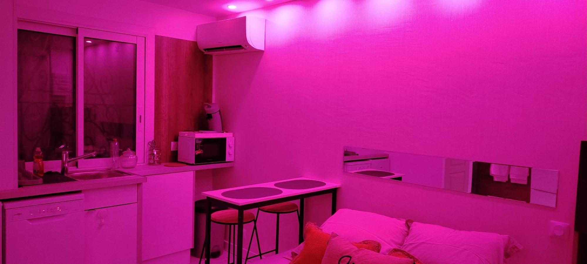 Studio Cosy Balneo Avec Jardin Le Barcarès エクステリア 写真